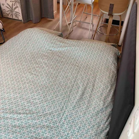 Taminimaison Apartment Laval (Mayenne)