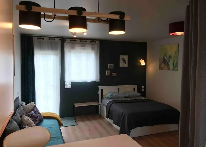 Taminimaison Laval (Mayenne)